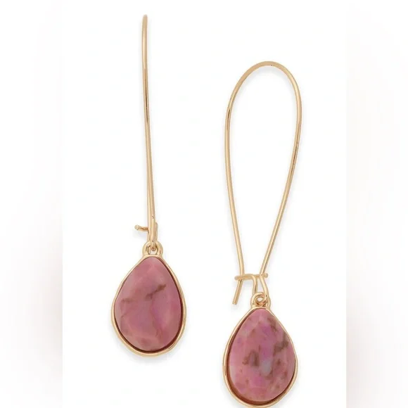 NWT Style & Co Pink Stone Linear Drop Earrings - Picture 1 of 2